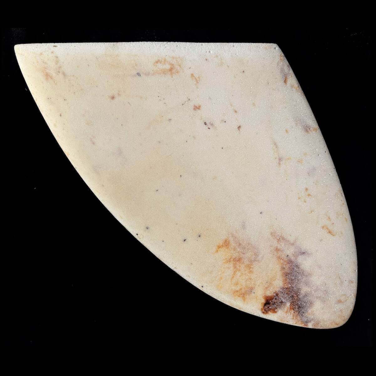 Vintage Surfboard Fins - George Downing